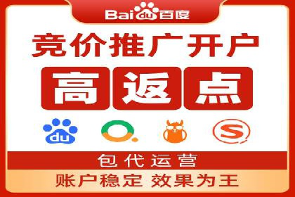 谷歌竞价广告与SEO结合的营销案例解析